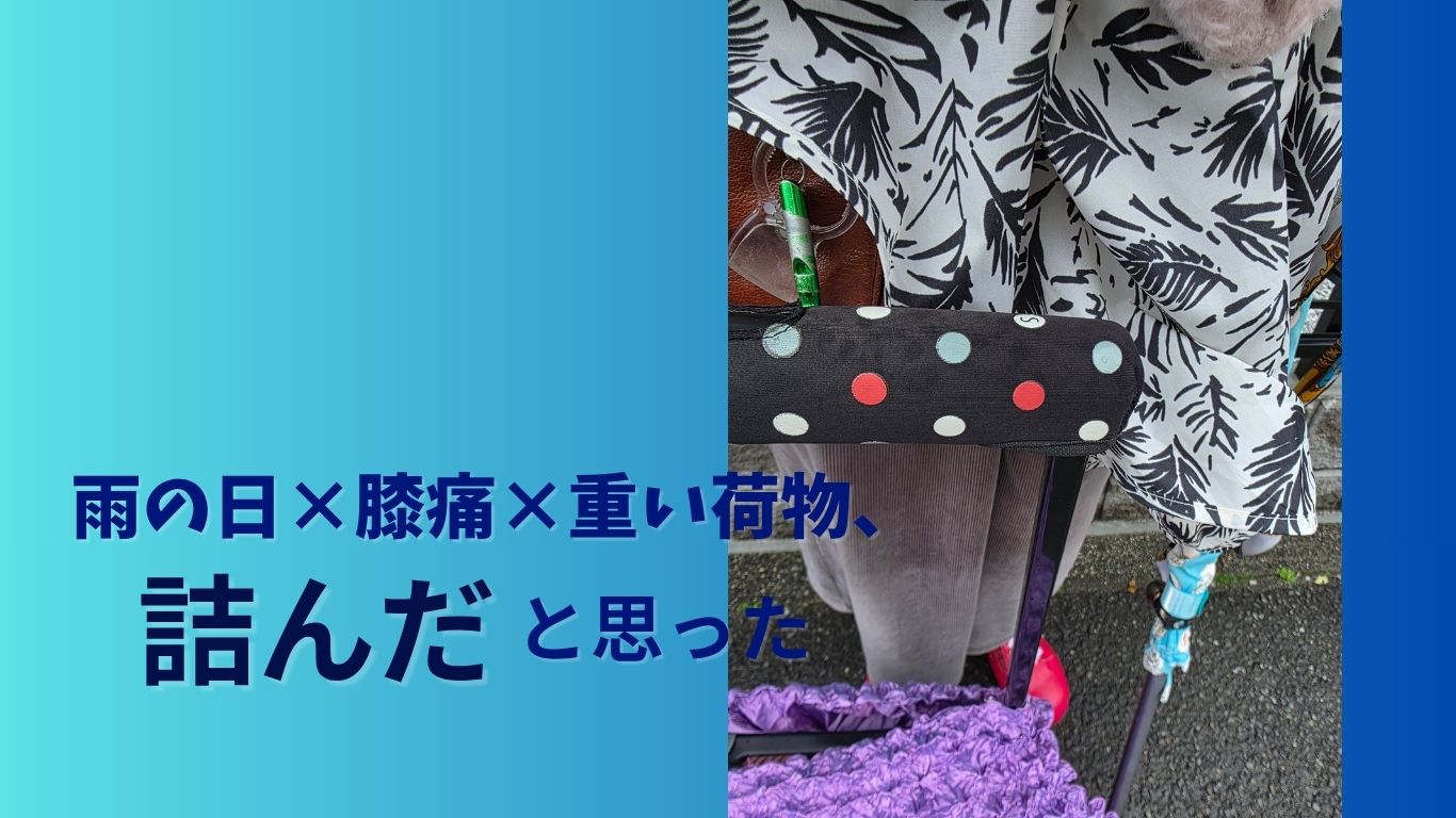 雨の日に膝が痛い人の荷物の持ち方とカート活用例